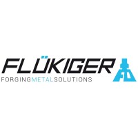 Flükiger & Co. AG logo - Similar company to Hesab Ag