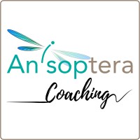 Anisoptera Coaching logo - Similar company to En Création