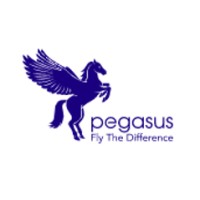 Pegasus Flight School logo - Similar company to Industry Protective Wear