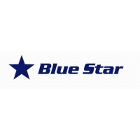 Blue Star Global Logistics logo - Similar company to Blue Star Logistics