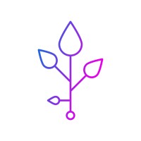 Nodra Lab