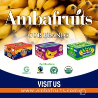 AMBAFRUITS S.A. logo - Similar company to Bron Fruit Colombia Sas