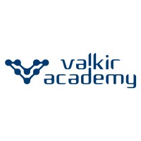 Valkir Academy logo - Similar company to The Limitless Life Academy