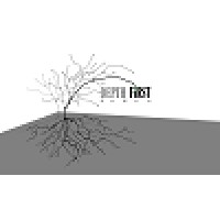 Depth First Games