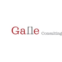 Galle Consulting logo - Similar company to Bekiroglu Law & Consultancy