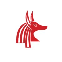Anubis Healthcare Solutions logo - Similar company to Iimsam