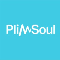 PlimSoul logo - Similar company to Jagged Frontier