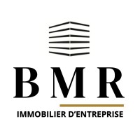 BMR Immobilier logo - Similar company to Hapi Immobilier
