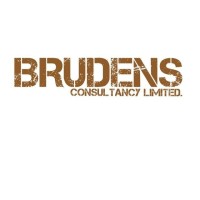 Brudens Consultancy limited logo - Similar company to Ready Resources