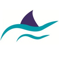 סנפיר תוכנה - Snapir Software logo - Similar company to Billionx Innovative Software