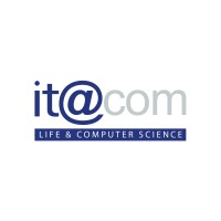 Itacom logo - Similar company to Ally Consulting