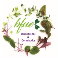 Microgreens y Germinados BFUE logo - Similar company to Microgreens Fln