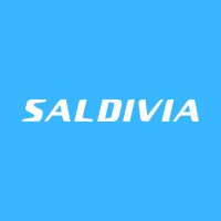Saldivia Buses logo - Similar company to Causer