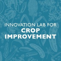 Feed the Future Innovation Lab for Crop Improvement logo - Similar company to Whitman Conservation District