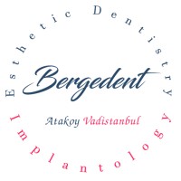 Bergedent logo - Similar company to Aly Hukuk & Danişmanlik Ofi̇si̇