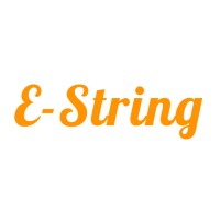 E-String Technologies, Inc. logo - Similar company to Meet The Geeks