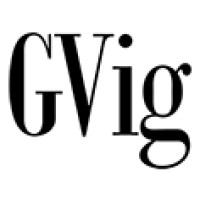 Global Vantage Innovative Group (GVig) logo - Similar company to Ohora(오호라)