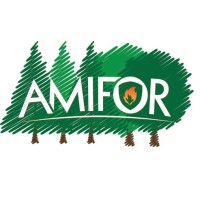 Amifor logo - Similar company to Abitel Services