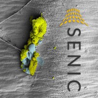 SENIC - Southeastern Nanotechnology Infrastructure Corridor logo - Similar company to Mmstan Inc.