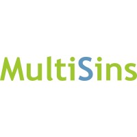 MultiSins - hudební kapela logo - Similar company to Ftp Group