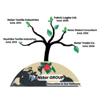 Nstar Group logo - Similar company to Fabric Lagbe