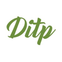 DITP logo - Similar company to Bnf Industries
