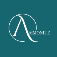 Ammonite Executor Services logo - Similar company to Northbound Networks