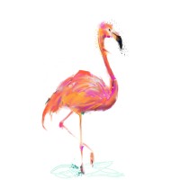 FLAMINGO WEB logo - Similar company to Loop Alumni