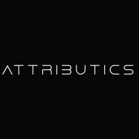 Attributics logo - Similar company to Novolytics.Ai