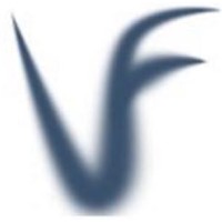 Valuefid SA