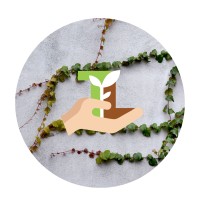 T&L Group, Inc. Elevated Mini Gardens