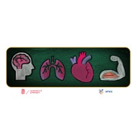 Section Anatomy en Medical Physiology UMCG logo - Similar company to Bitsonic