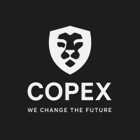 COPEX Investment&Marketing Consultant logo - Similar company to Doppelweiss Datascience Gmbh & Co. Kg