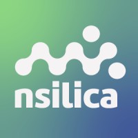 Nsilica logo - Similar company to Binarial