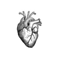 iCardio.ai logo - Similar company to Olehpay