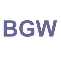 BGW AG Management Advisory Group logo - Similar company to Practice For Eqe