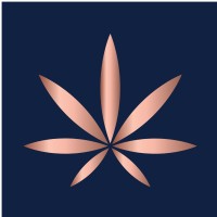 CBD East Main logo - Similar company to Vape Nubo