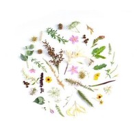 The Culture Review Mag logo - Similar company to Thrive Afrika