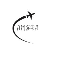 Expat Vibes logo - Similar company to Expat Mediation