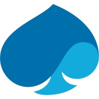 Capgemini Institut logo - Similar company to L'Assitante Pro