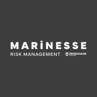 MARINESSE Risk Management logo - Similar company to Beyondgas Ag & Co. Kg