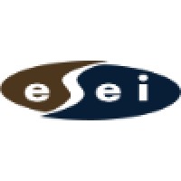 Esei Electro Systems Engineers