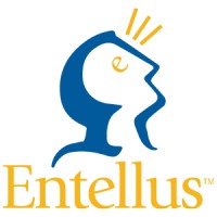 Entellus, Inc. logo - Similar company to Dibble