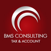 BMS Consulting logo - Similar company to Bms Consulting
