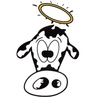 The Holy Cow Canoe Company logo - Similar company to Field & Co. Creative Agency