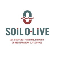 Soil O-live logo - Similar company to Paloseco