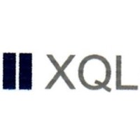 XQL Capital logo - Similar company to Hydramaint