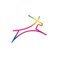 Color Stori Ventures logo - Similar company to Pace Every Door