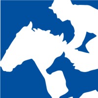 Thoroughbred Breeders NSW logo - Similar company to Vardy Thoroughbreds