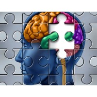 The Neuropsychological Evaluation and Therapeutic Center of Austin logo - Similar company to Spine Software Systems Pvt. Ltd.
